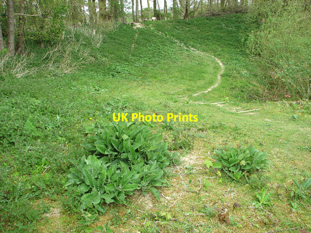 Photo 6"x4" Track in Buckenham Woods Hassingham c2013