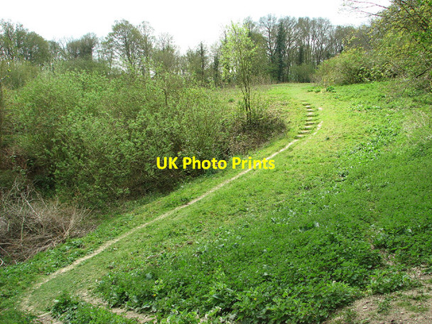 Photo 6"x4" Steps on footpath in Buckenham Woods Hassingham c2013