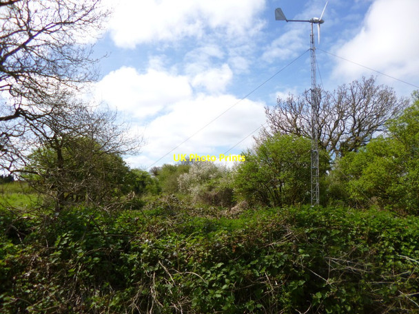 Photo 6"x4" Fifehead Common Fifehead St Quintin c2013