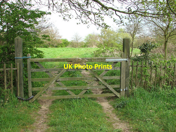 Photo 6"x4" Gated entrance into a garden, Strumpshaw Strumpshaw c2013