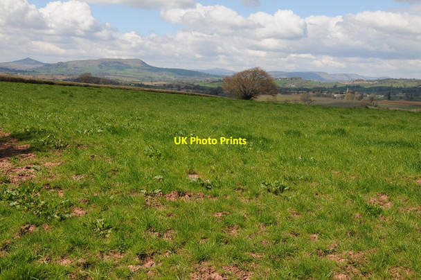 Photo 6"x4" View to the Black Mountains Llanvihangel-Ystern-Llewern c2013