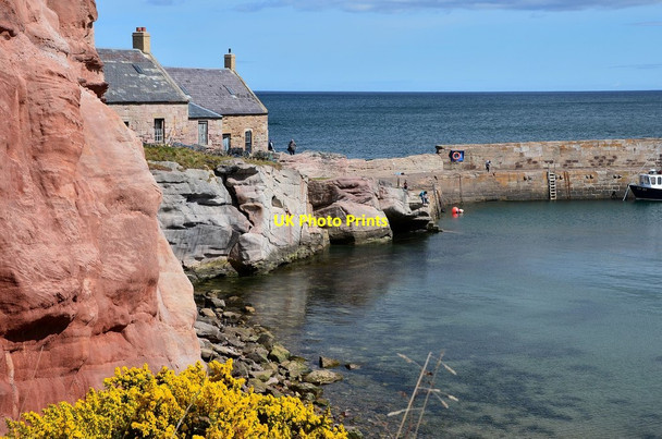 Photo 6"x4" Cove Harbour Cove\/NT7771 c2013