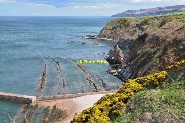 Photo 6"x4" Berwickshire coast east of Cove Cove\/NT7771 c2013