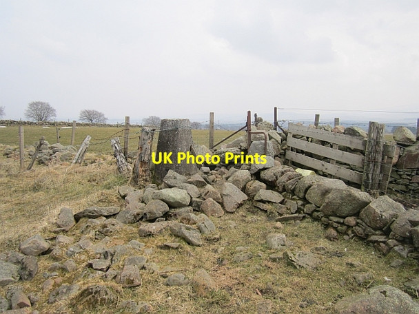 Photo 6"x4" Five Dykes triangulation pillar Brocketsbrae c2013