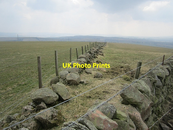 Photo 6"x4" Two of the dykes Brocketsbrae c2013