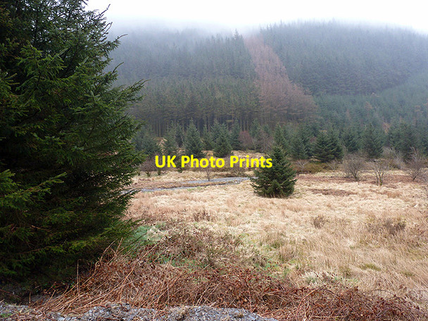 Photo 6"x4" Afon Merin beneath Banc Nantycreuau Ysbyty Cynfyn c2013
