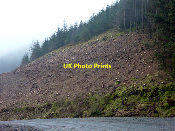 Photo 6"x4" Clear-fell in Cwm Merin Ysbyty Cynfyn c2013