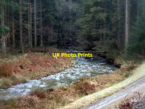 Photo 6"x4" Afon Merin looking downstream Ysbyty Cynfyn c2013
