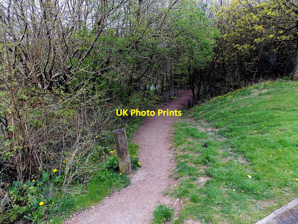 Photo 6"x4" Riverside track, Fleur de Lys Blackwood\/Coed Duon c2013