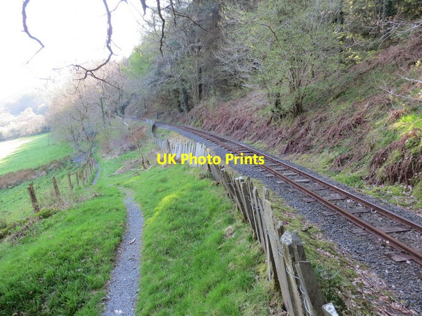 Photo 6"x4" Llwybr Gorsaf Abergynolwyn Station footpath Abergynolwyn c2013