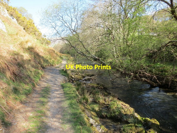 Photo 6"x4" Llwybr glanafon Dysynni riverside path Abergynolwyn c2013