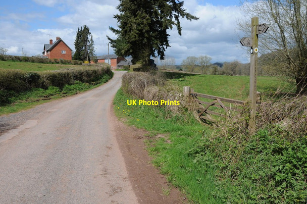 Photo 6"x4" Sign on Offa's Dyke Path Llanvihangel-Ystern-Llewern c2013