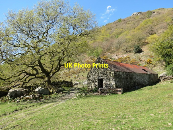 Photo 6"x4" Ffarm Dol y Maen Farm Llanfihangel-y-pennant\/SH6708 c2013