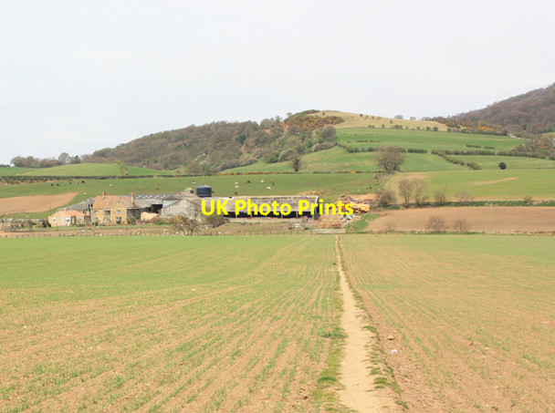 Photo 6"x4" Towards Hood Grange Sutton-under-Whitestonecliffe c2013