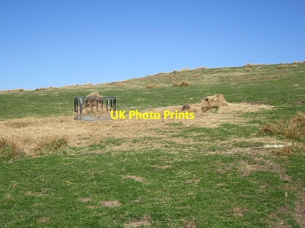 Photo 6"x4" Winter feeding, Beanley Moor Beanley c2013