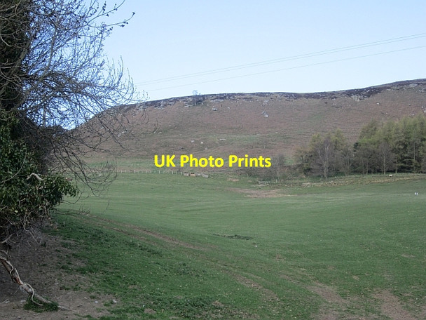 Photo 6"x4" Bewick Hill New Bewick c2013