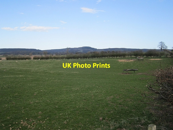 Photo 6"x4" Grassland near Knock Well Newtown\/NU0425 c2013