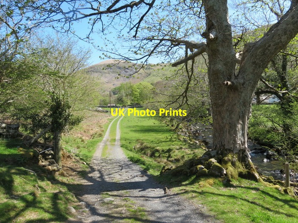 Photo 6"x4" Llwybr Gernos Footpath Llanfihangel-y-pennant\/SH6708 c2013