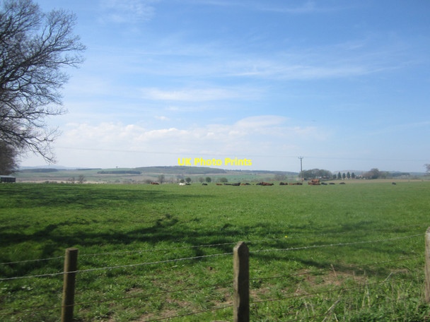 Photo 6"x4" Grassland near Chillingham Newtown\/NU0425 c2013