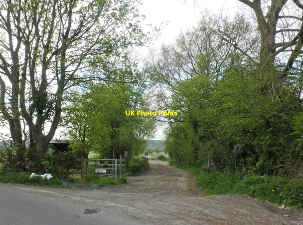 Photo 6"x4" Track to Nailsea Moor Nailsea c2013