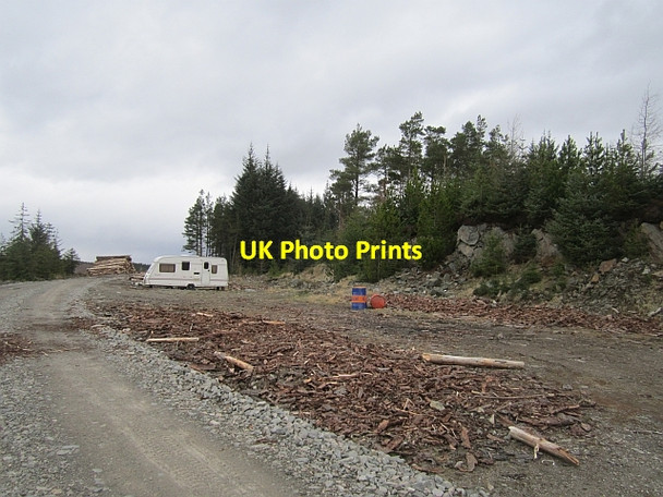 Photo 6"x4" Quarry, Meall na h-Iolaire Allean Forest c2013