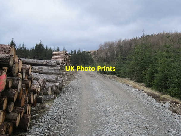 Photo 6"x4" Logging road, Allean Forest Tressair c2013