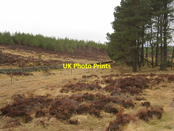Photo 6"x4" Moorland edge Tressair c2013