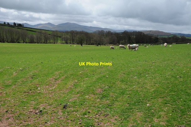 Photo 6"x4" Farmland near Lower Porthgwyn Garthbrengy c2013