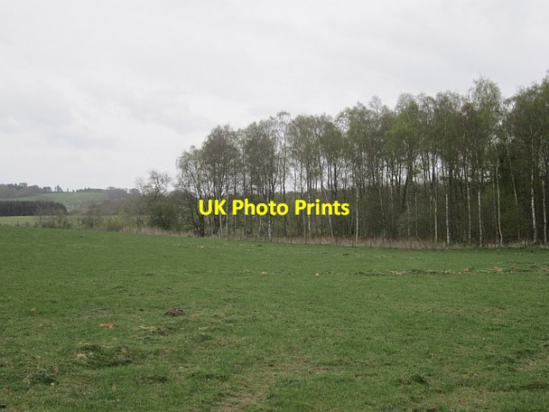 Photo 6"x4" Longnewton Forest Maxton\/NT6130 c2013