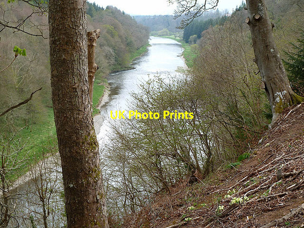 Photo 6"x4" The River Tweed at Old Melrose Bemersyde c2013
