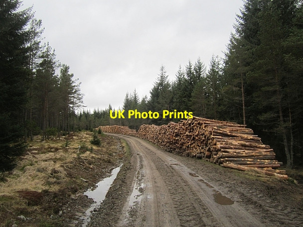 Photo 6"x4" Log stacks Tressair c2013 P1