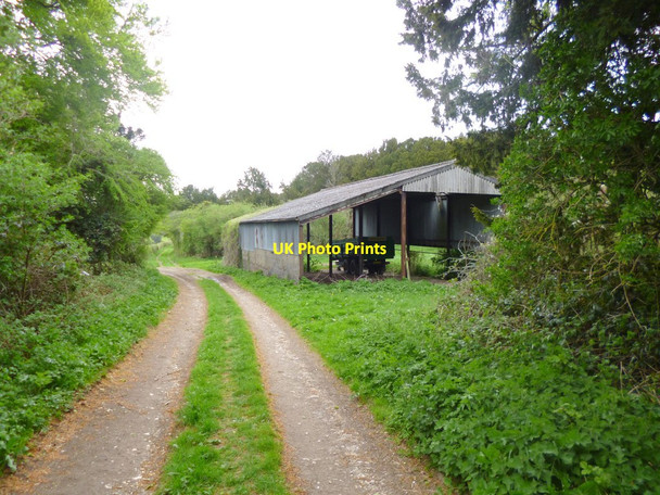 Photo 6"x4" Breamore, barn Whitsbury c2013