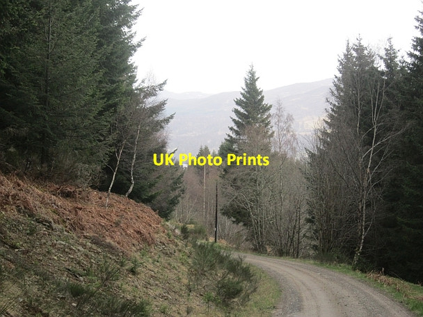Photo 6"x4" Logging road, Grenich Tressair c2013 P1