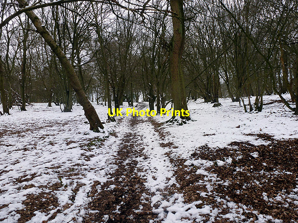 Photo 6"x4" Heading for Preston through Wain Wood Preston\/TL1724 c2013