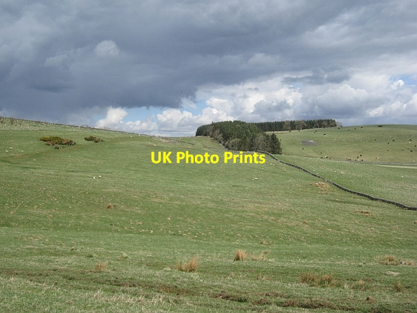 Photo 6"x4" Housebyers to Mosshouses path Easter Housebyres c2013