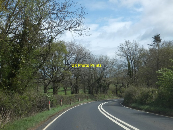 Photo 6"x4" Woodland beside A386 (Narratons Road) Okehampton c2013