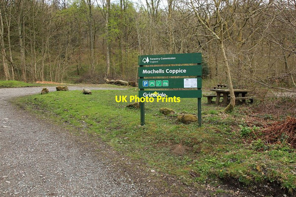 Photo 6"x4" Entrance to Machell Coppice Haws Bank\/SD3096 c2013