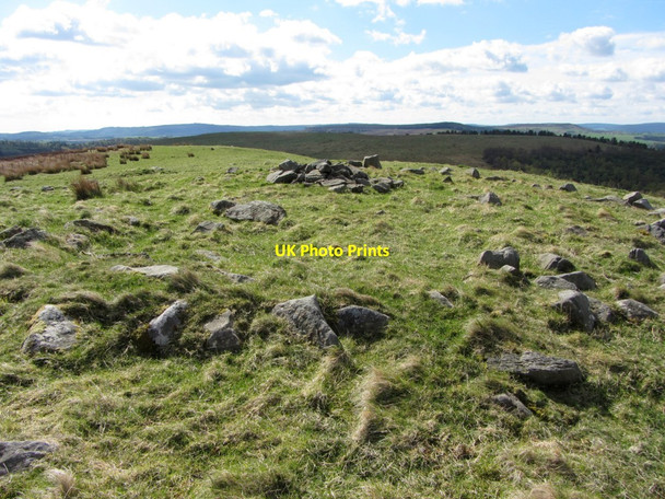 Photo 6"x4" Cairn on summit of Tick Law New Bewick c2013