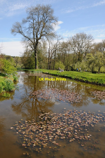 Photo 6"x4" Moat at Lower Brockhampton Bringsty Common c2013