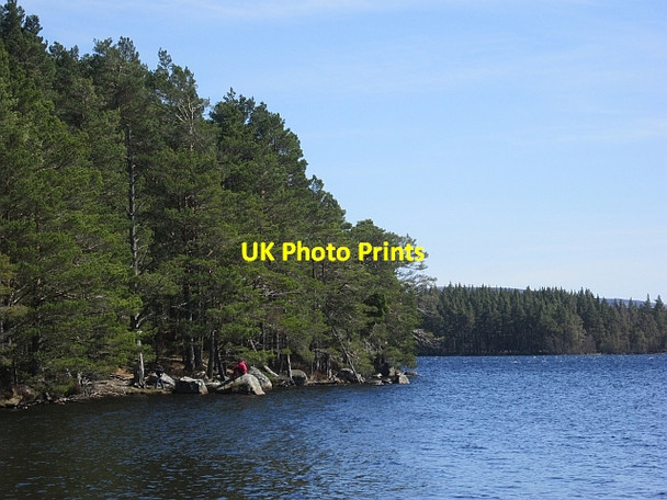 Photo 6"x4" Loch Garten Tulloch\/NH9816 c2013 P1