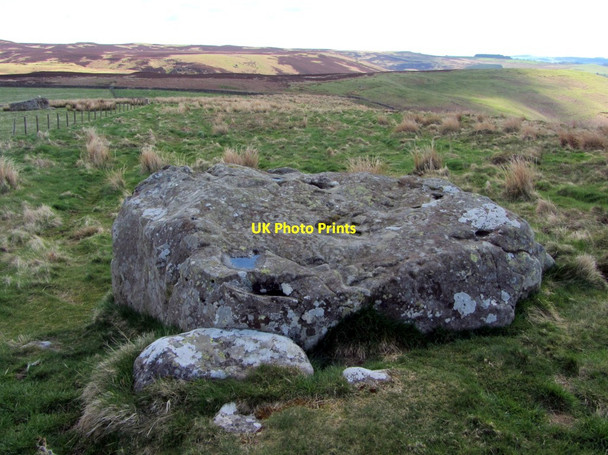 Photo 6"x4" Cup & ring marked rock, Bewick Hill New Bewick c2013