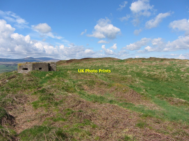 Photo 6"x4" Pill box, Bewick Hill New Bewick c2013