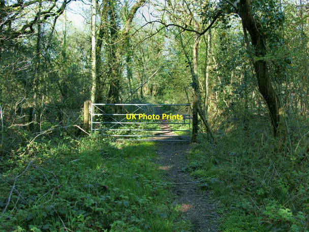 Photo 6"x4" Gate exiting northeast boundary of Penllergaer Forest Felindre\/SN6302 c2013