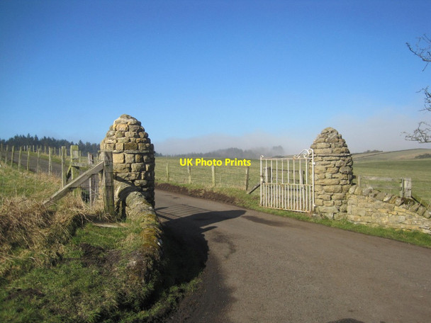 Photo 6"x4" Ornamental Gate Posts leading to Todridge Great Whittington c2013