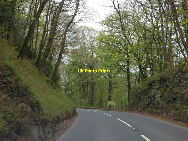 Photo 6"x4" Road cutting on A3124 Great Torrington c2013