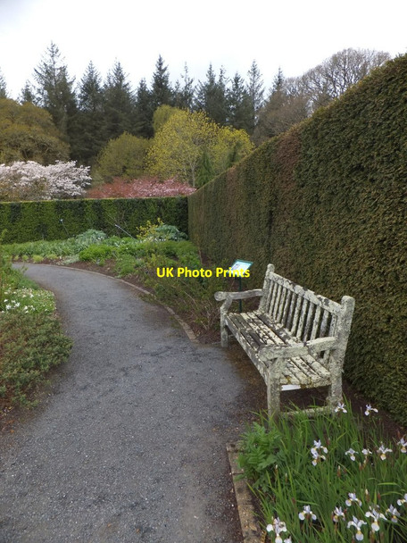 Photo 6"x4" Lichen on seat at RHS Rosemoor Great Torrington c2013