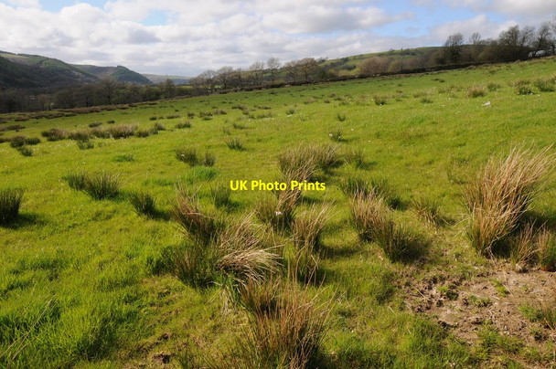 Photo 6"x4" Field near Maerdy-isaf Cwmdu\/SN6330 c2013