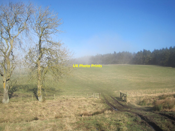 Photo 6"x4" Farmland and Plantation, Todridge Great Whittington c2013