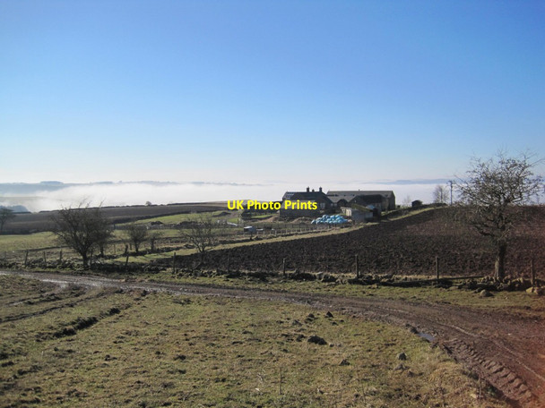 Photo 6"x4" View of Combe Cottages Bingfield c2013