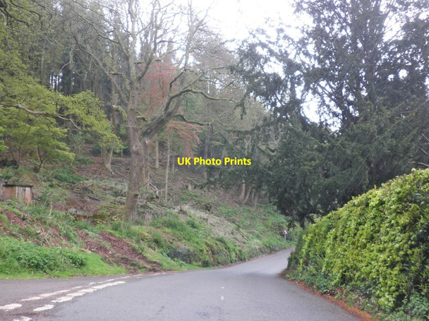 Photo 6"x4" B3188 near Combe Sydenham Monksilver c2013